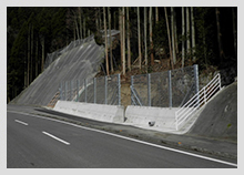 画像：厳木富士線道路整備交付金工事(落石対策工)